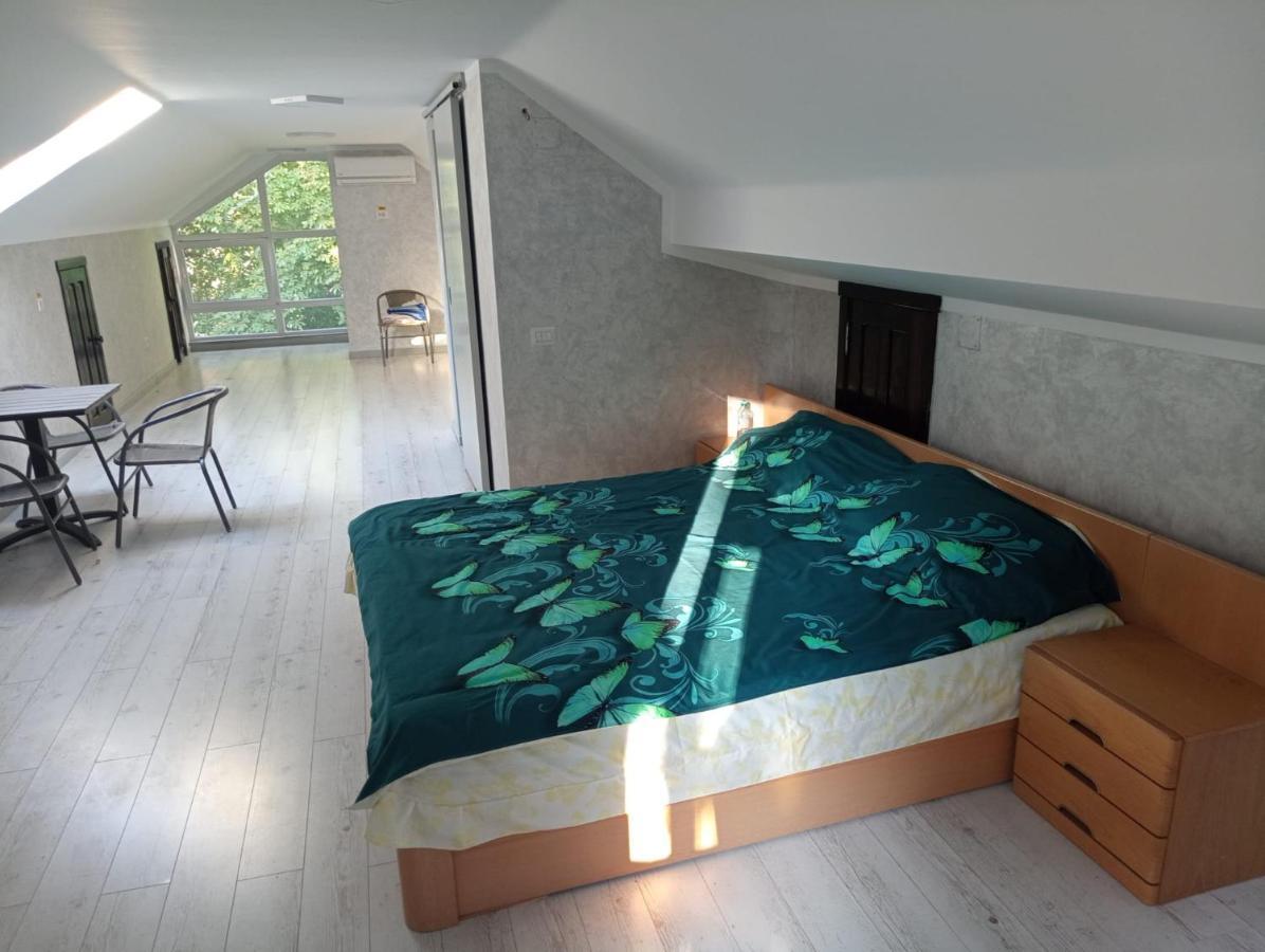 Hostel Cataleya Caffee Rădăuţi Exteriér fotografie
